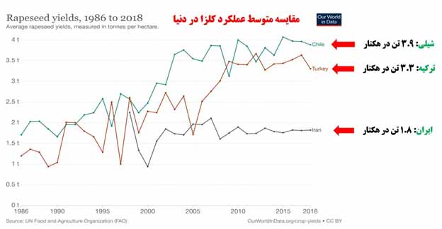 عملکرد کلزا در دنیا و ایران